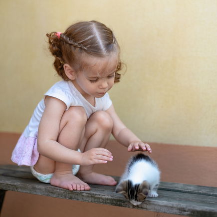 Kinderarzt warnt: Warum man im Urlaub KEINE Katzen streicheln sollte ...
