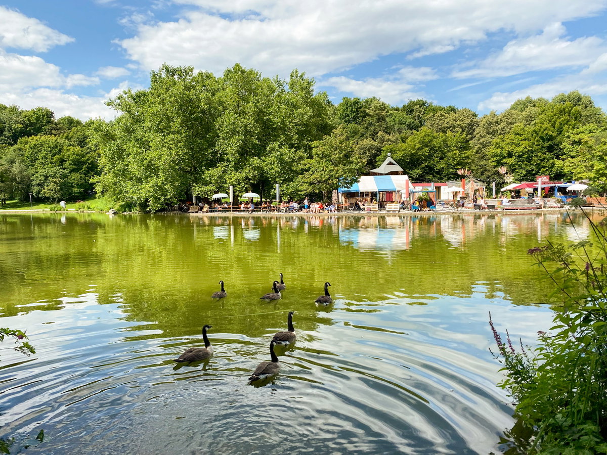 "Gans am Wasser" in München