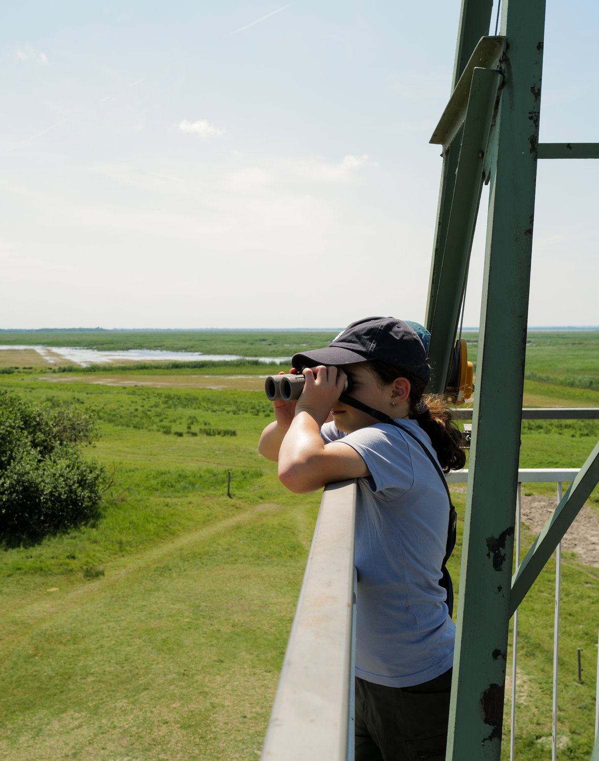 Natur im Burgenland
