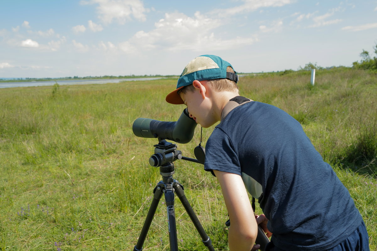 Natur im Burgenland