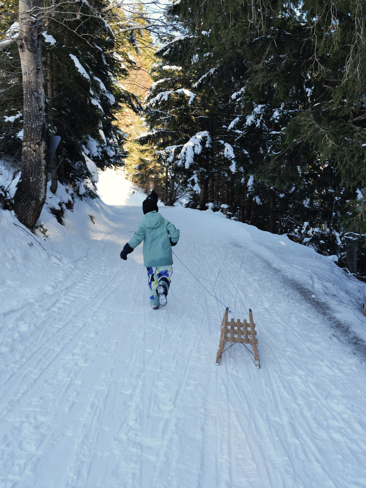 Im Winterwald