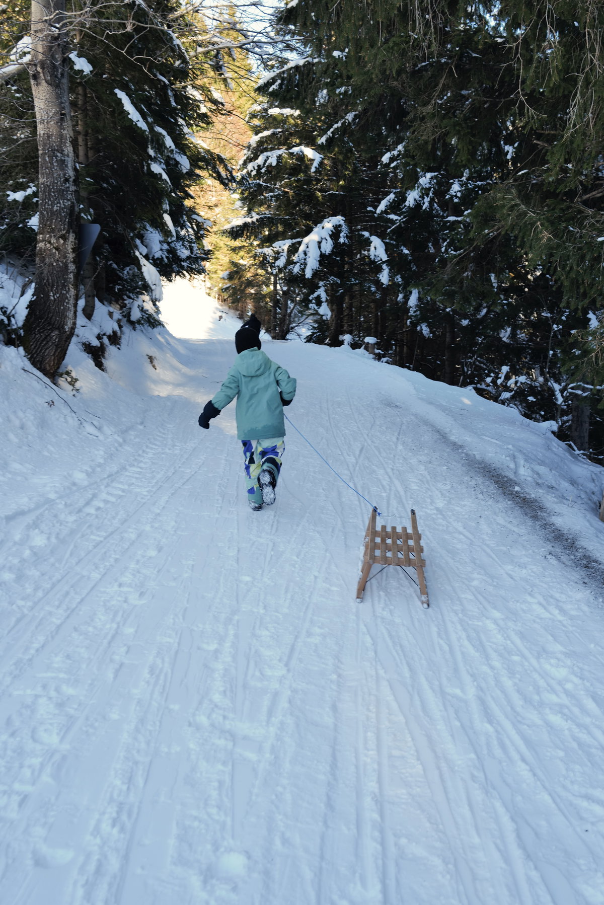 Im Winterwald
