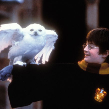 Ab wann kann mein Kind "Harry Potter" gucken? (Es kommt nicht nur auf die FSK an!)