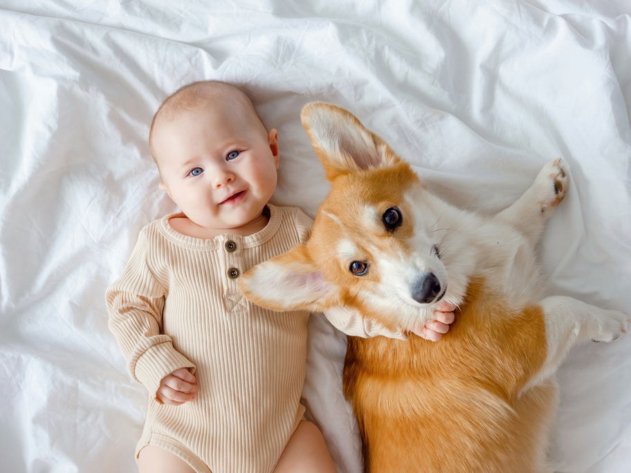 Baby kuschelt mit Hundewelpen.