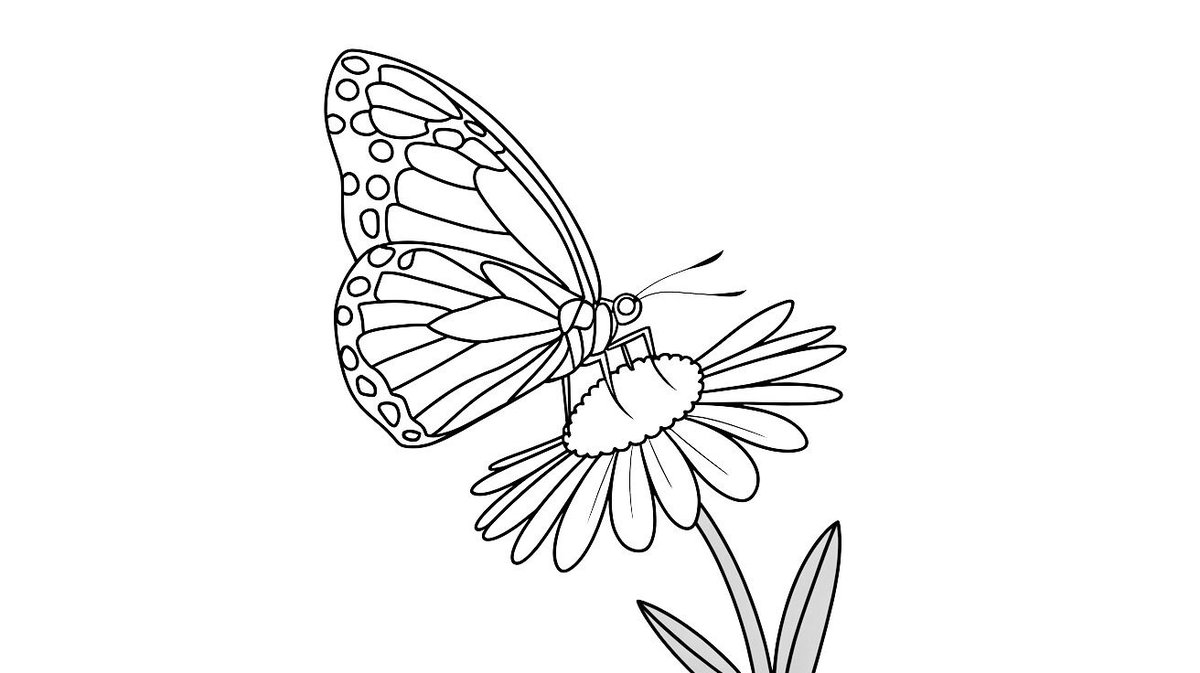 Ausmalbild Schmetterling mit Blume