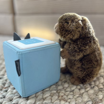 Was das tierische Codewort "Murmeltier" bei der Toniebox bedeutet