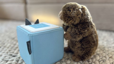 Was das tierische Codewort "Murmeltier" bei der Toniebox bedeutet