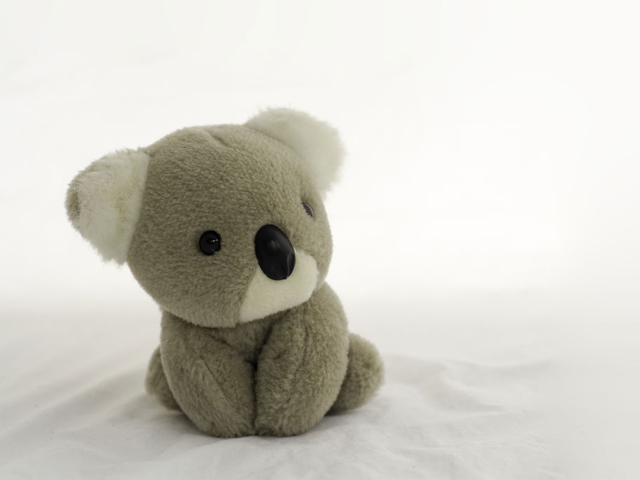 Ein Koala Kuscheltier