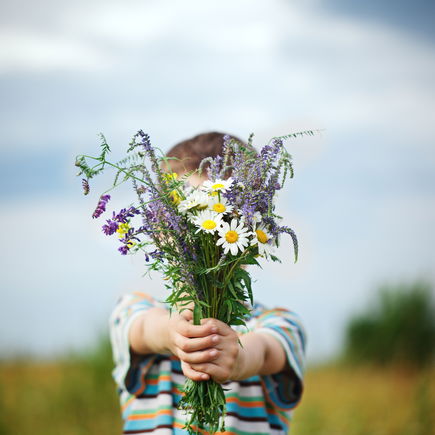 25 tolle Aktivitäten mit Kindern im Frühling