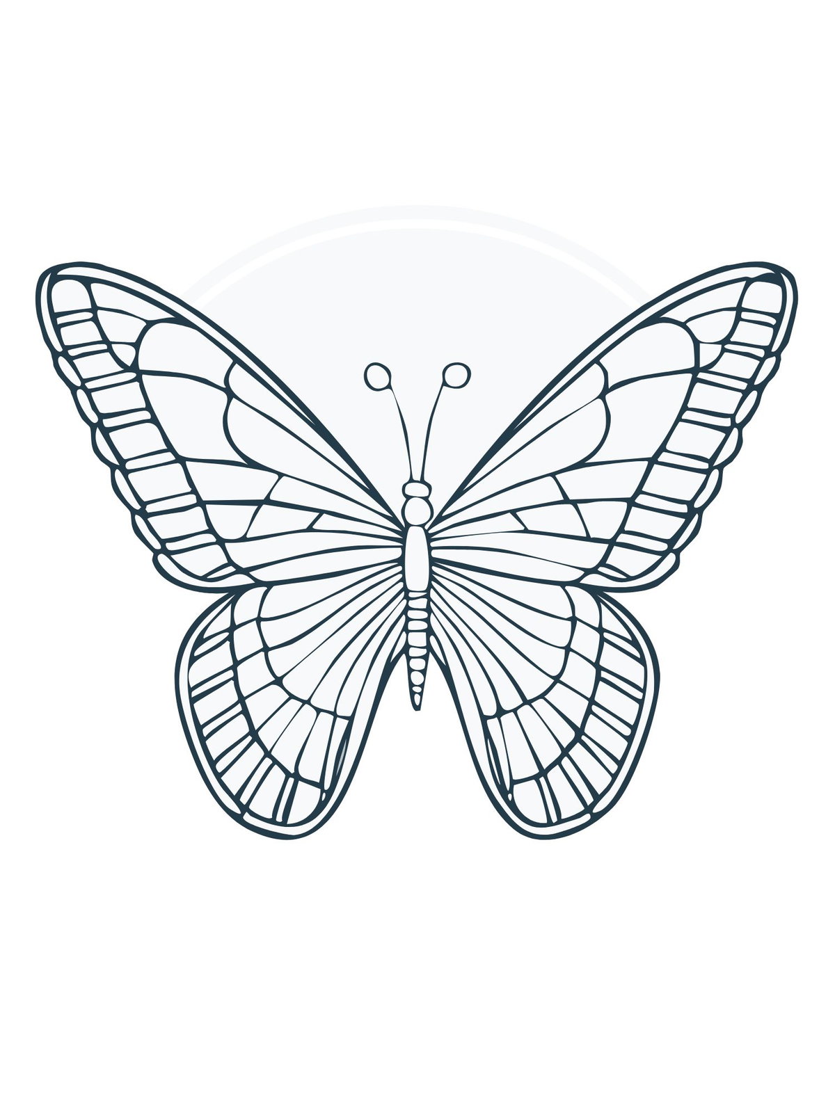 Malvorlage Schmetterling