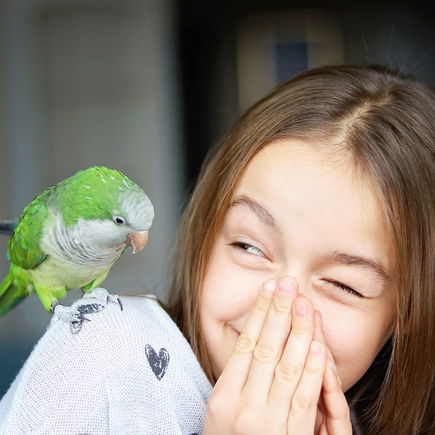 Die 10 besten Papageien-Witze für Kinder
