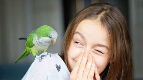 Die 10 besten Papageien-Witze für Kinder