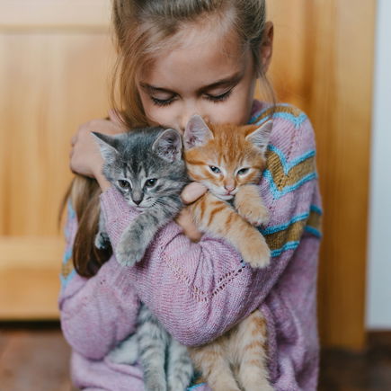 Die 15 lustigsten Katzenwitze – auch für Kinder 😹