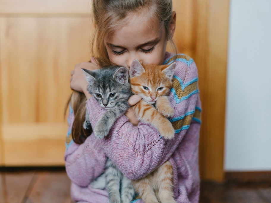 Ein Mädchen kuschelt mit zwei kleinen Katzen.