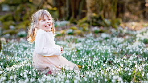 Schneeglöckchen, Narzissen, Tulpen: Sind Frühblüher für Kinder giftig?