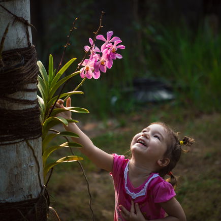 Löwenzahn- und Orchideenkinder – was bedeutet das überhaupt?