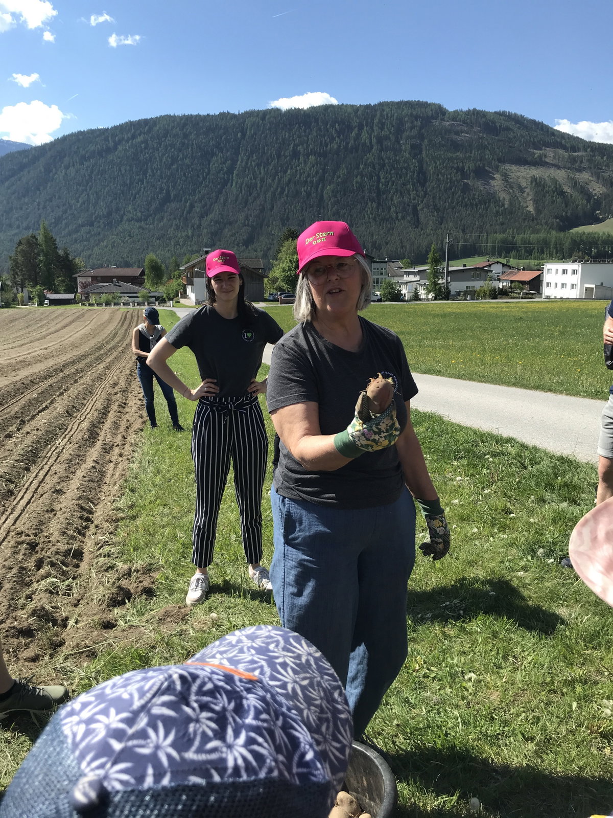 Elfie am Kartoffelacker
