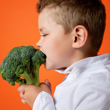 So gestaltet ihr die Ernährung gesund und alltagstauglich
