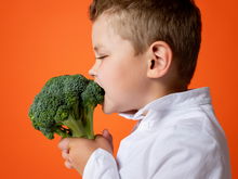 So gestaltet ihr die Ernährung gesund und alltagstauglich