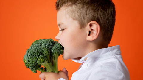 So gestaltet ihr die Ernährung gesund und alltagstauglich