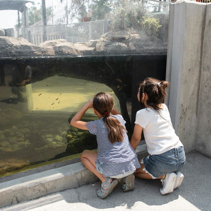 Kann man mit Kindern guten Gewissens noch in den Zoo gehen? 