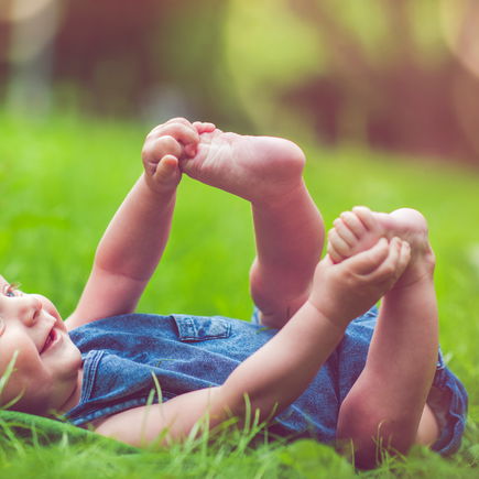 Schwarzkümmelöl: Schützt es Babys wirklich vor Zecken?