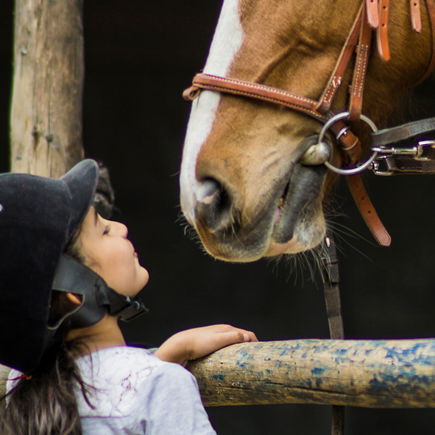 "Ich will nicht, dass meine Kinder reiten!"