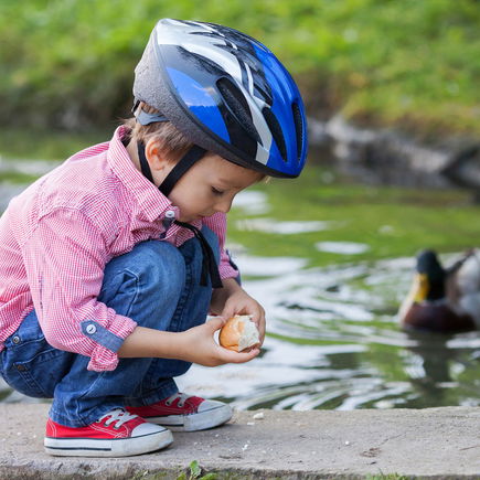 Warum wir Enten nicht mit Brot füttern sollten