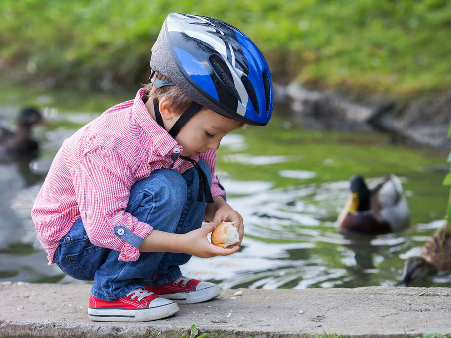 Kleines Kind mit Fahrradhelm füttert Enten mit Brot.