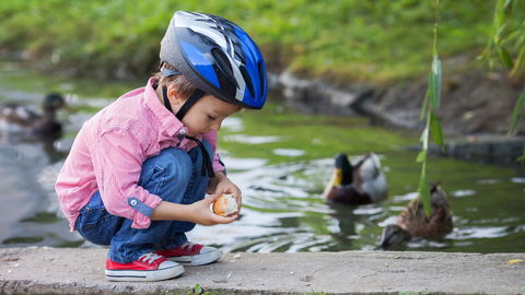 Warum wir Enten nicht mit Brot füttern sollten
