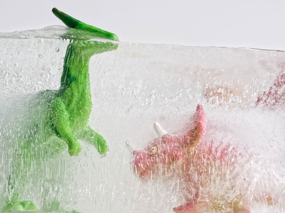 Zwei Dino-Spielfiguren sind in Eis eingefroren.