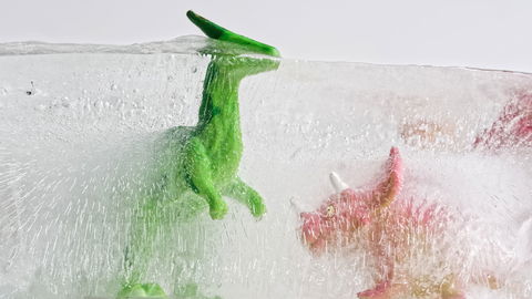 Die coolste Beschäftigung für heiße Tage: Spielzeug einfrieren