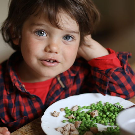 Kinder vegan ernähren: "Das Risiko eines Nährstoffmangels ist groß"