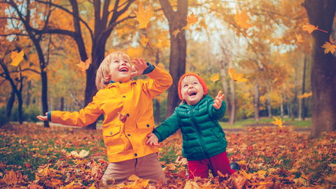 Was den Herbst so besonders macht – kindgerecht erklärt