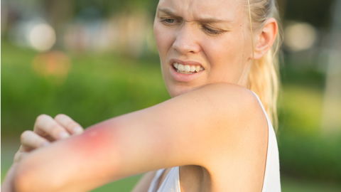 Wespenstich in der Schwangerschaft: Warum dein Baby im Bauch meistens sicher ist