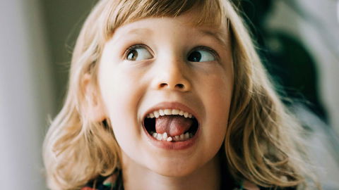 Die schönsten Milchzahndosen für Kids – perfekt aufbewahrt!