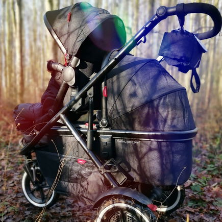 Buggy "sport" von phil&teds: Ein Kinderwagen, der begeistert!