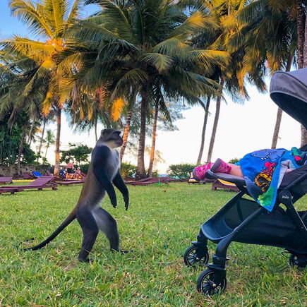 Der Joie Tourist: "Gut durchdachter Reisebuggy"