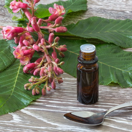 Bachblüten für Schwangerschaft und Geburt