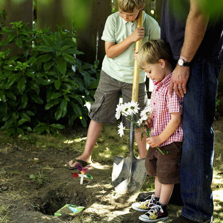 Wie man Kindern den Tod eines Haustieres erklärt