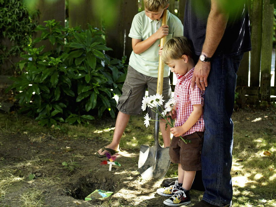 Abschied vom geliebten Haustier zu nehmen, fällt gerade Kindern besonders schwer.