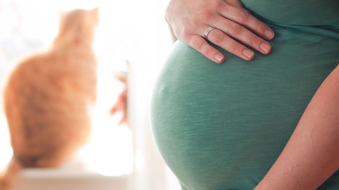 5 Fakten zu Toxoplasmose in der Schwangerschaft